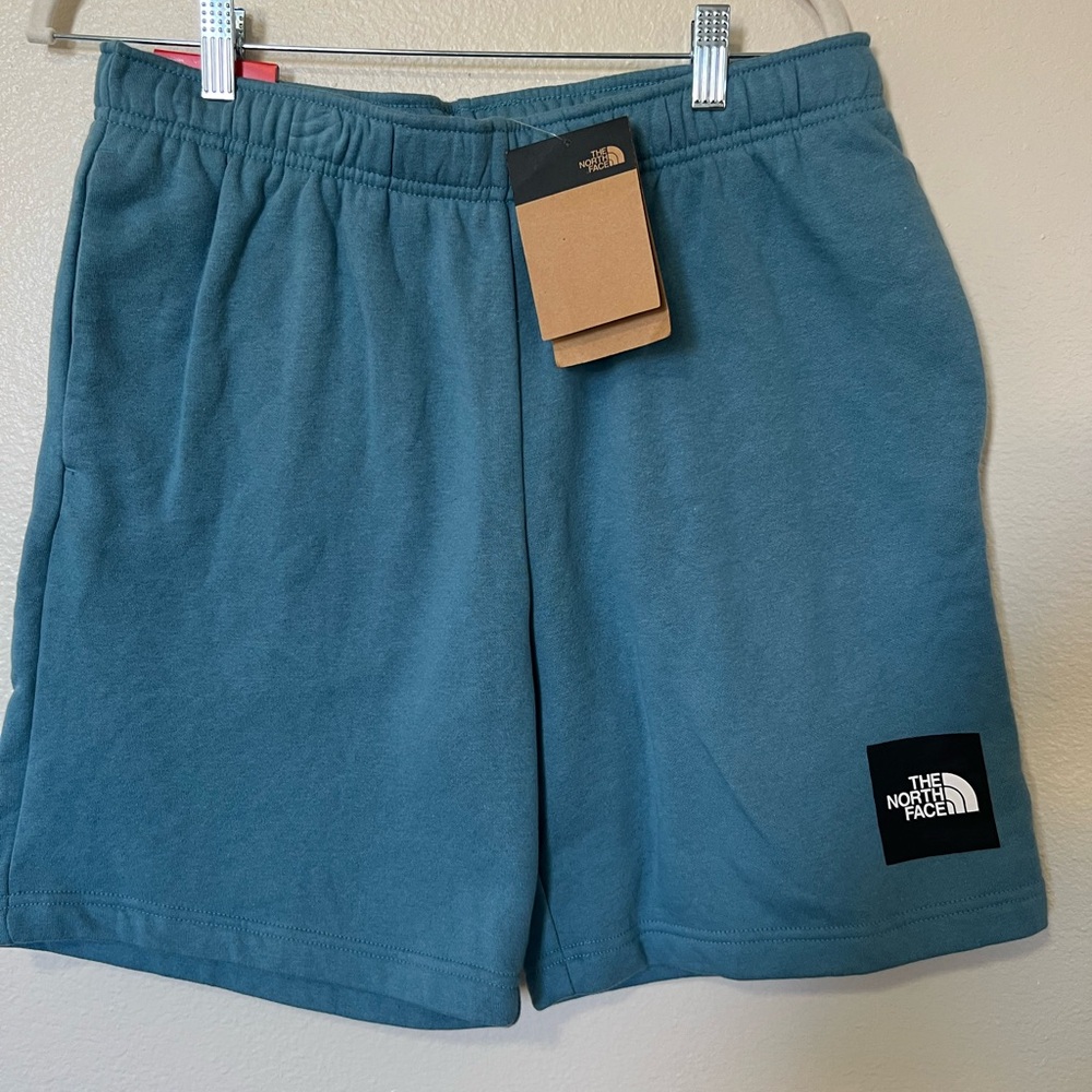 The North Face Teal Athletic Shorts